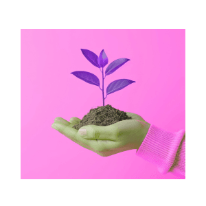 Ads Copy Image